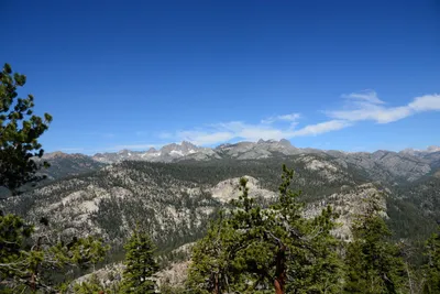 DSC_9955 (Large).JPG